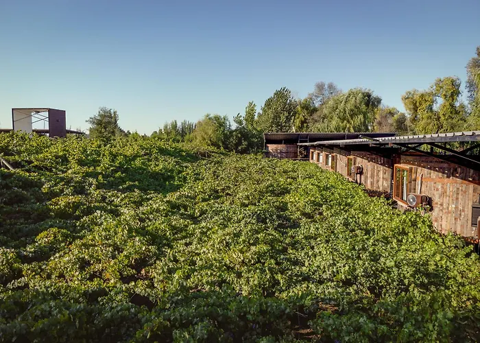 Cava Colchagua Hotel Boutique