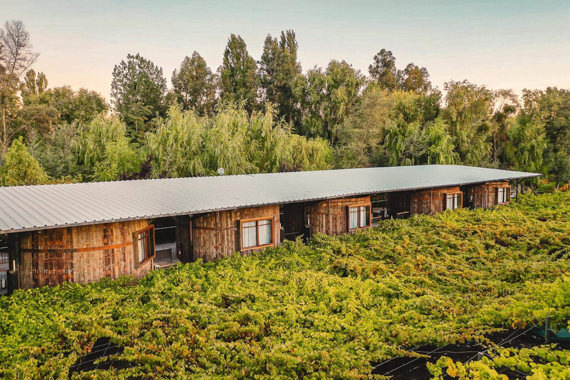 Cava Colchagua Boutique Hotel Santa Cruz