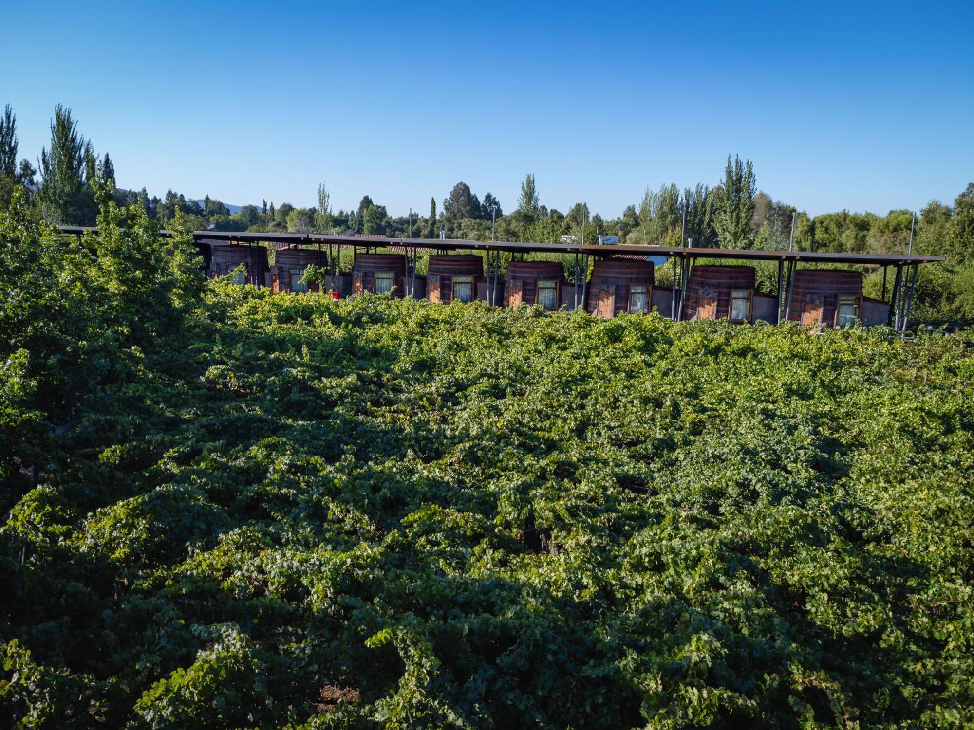 Hotel Cava Colchagua Boutique
