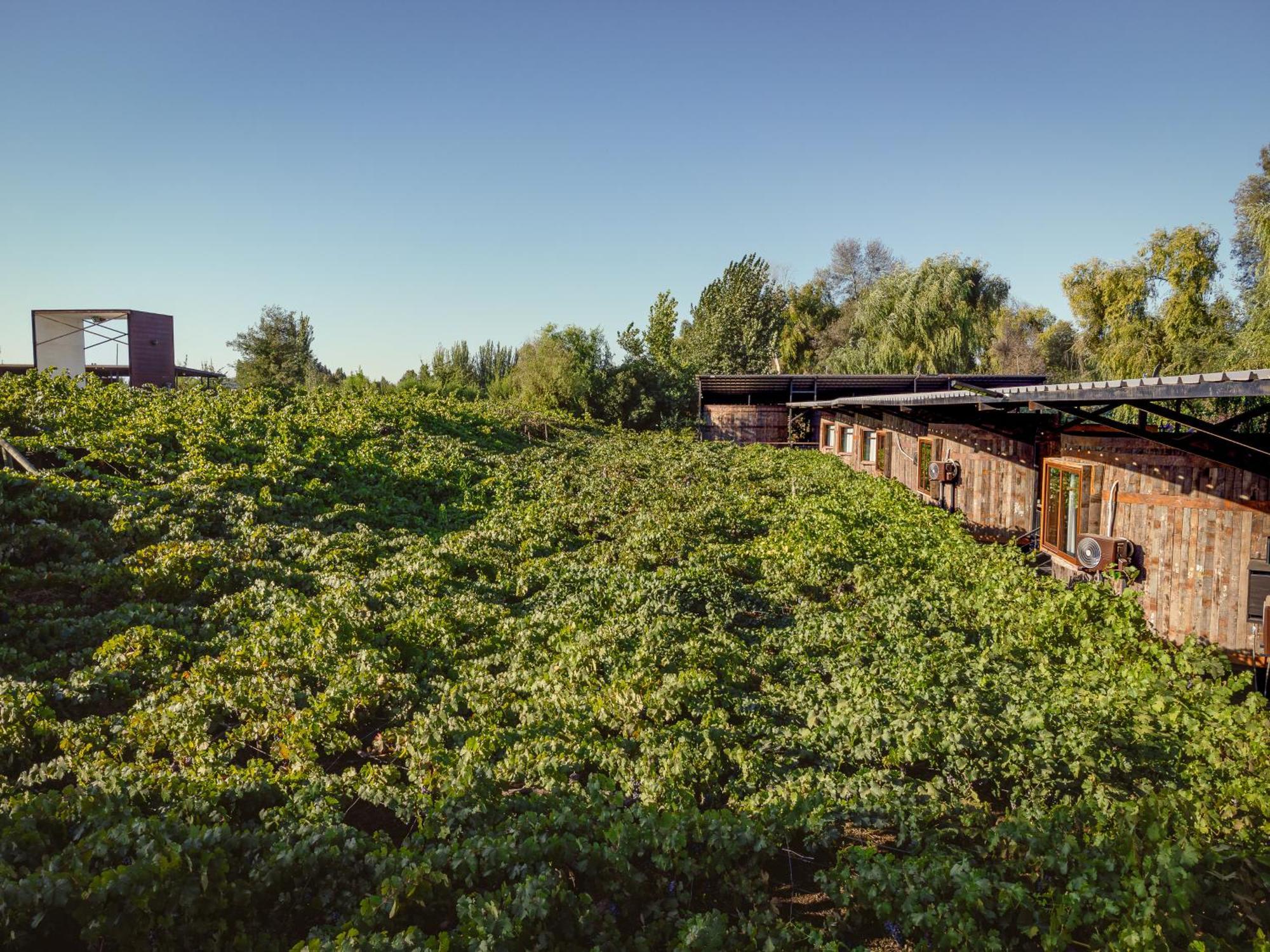 Cava Colchagua Boutique Hotel 2*