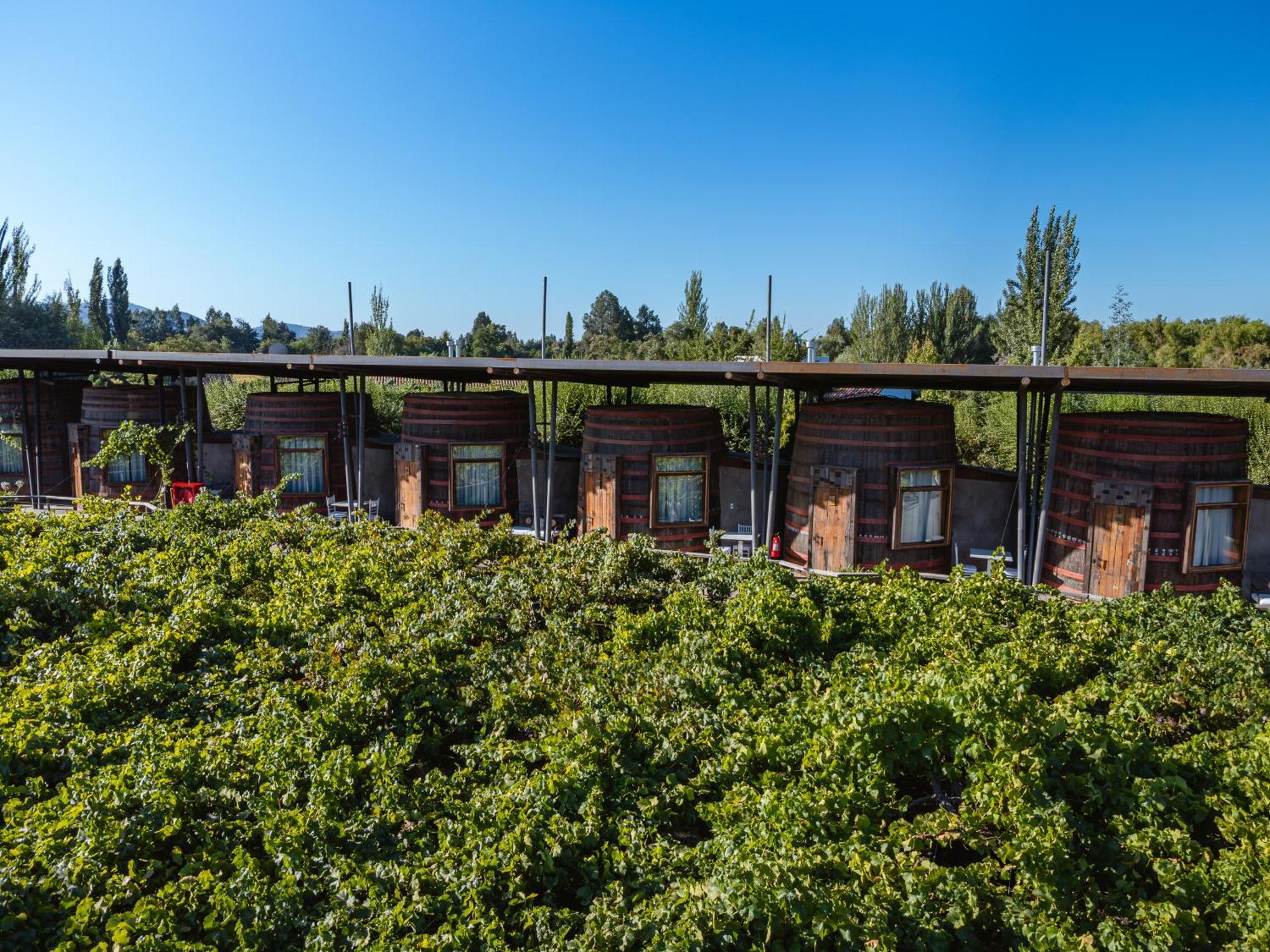Hotel Cava Colchagua Boutique Santa Cruz