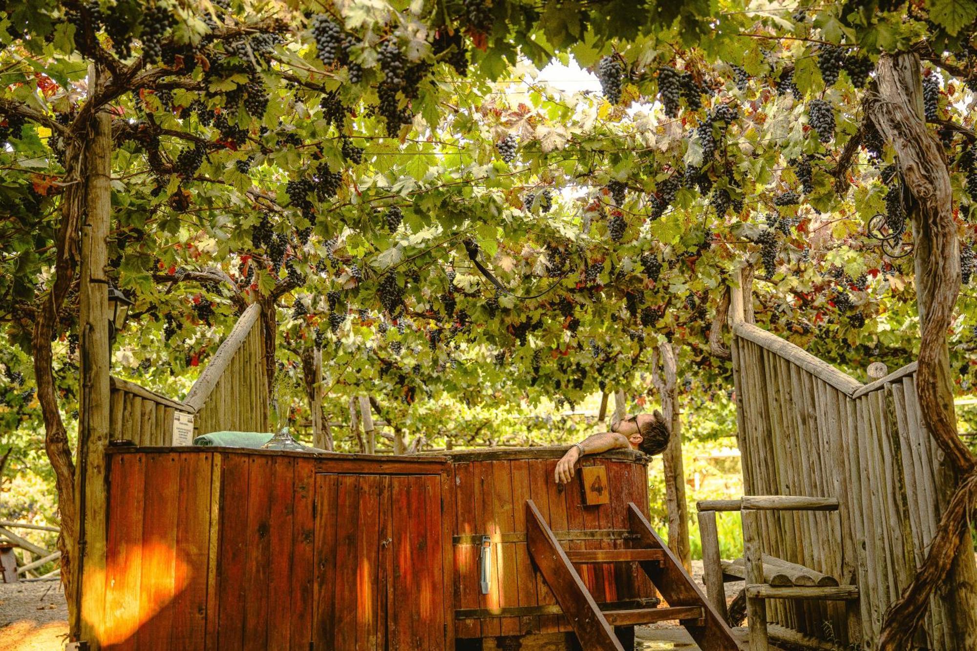 Hotel Cava Colchagua Boutique 2*
