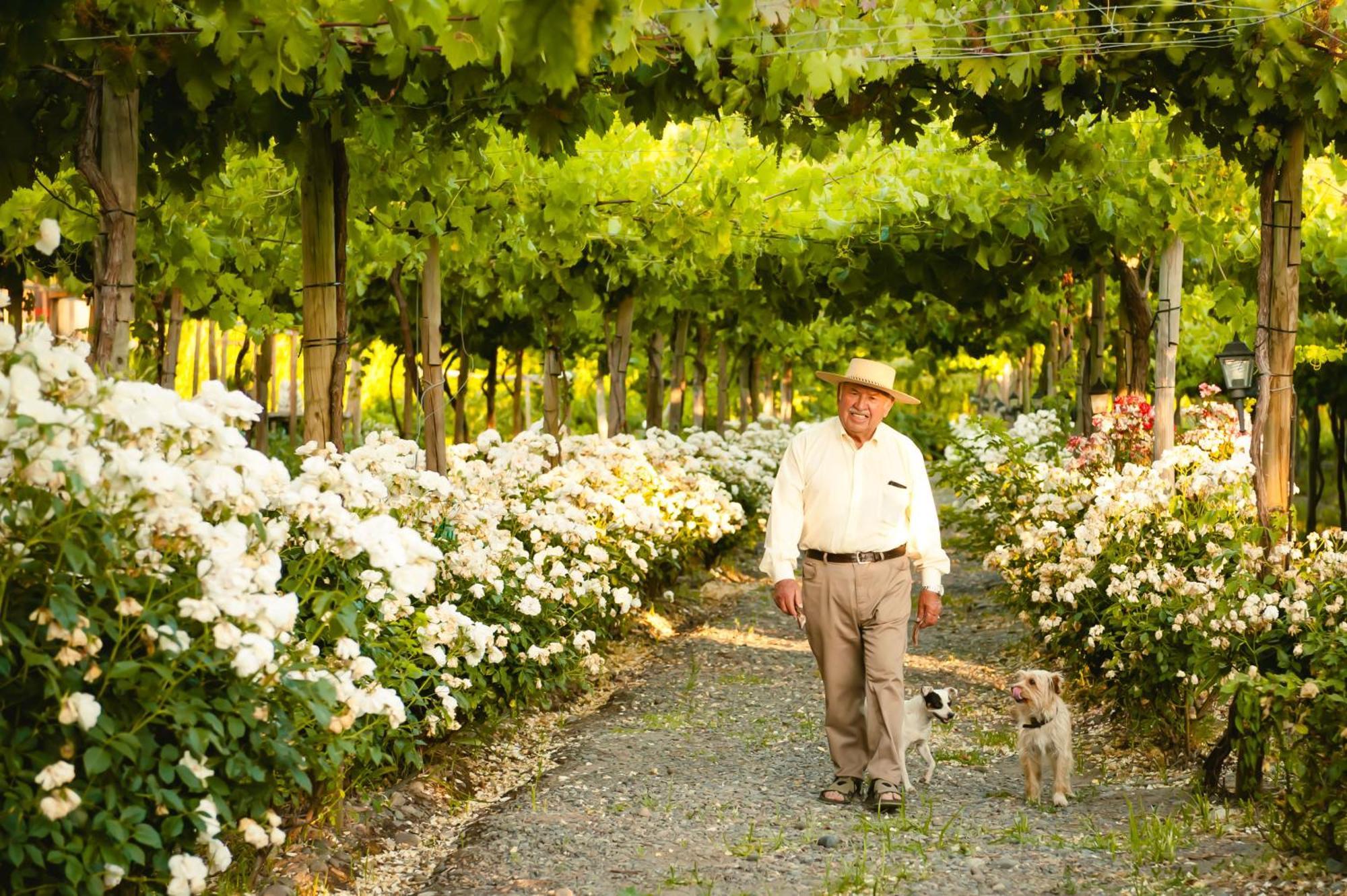 Hotel Cava Colchagua Boutique Santa Cruz