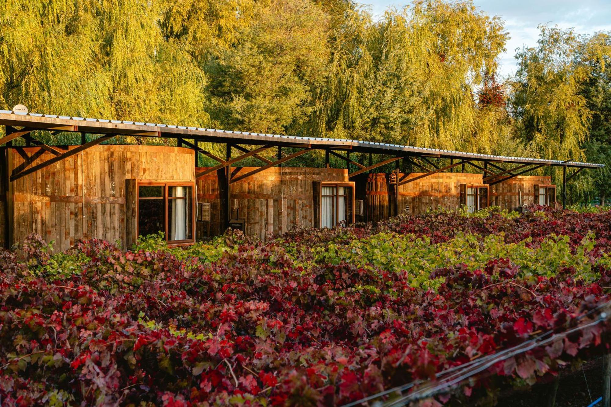 Hotel Cava Colchagua Boutique