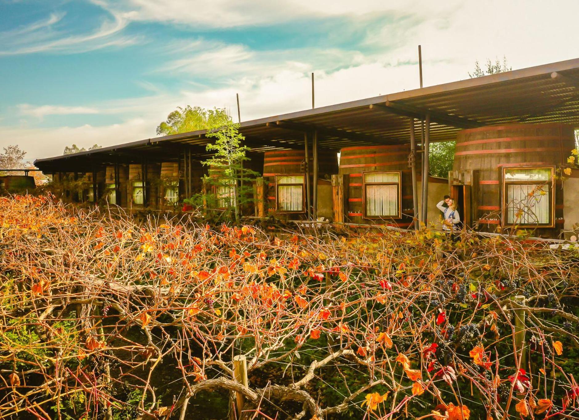 Cava Colchagua Boutique 2* Santa Cruz