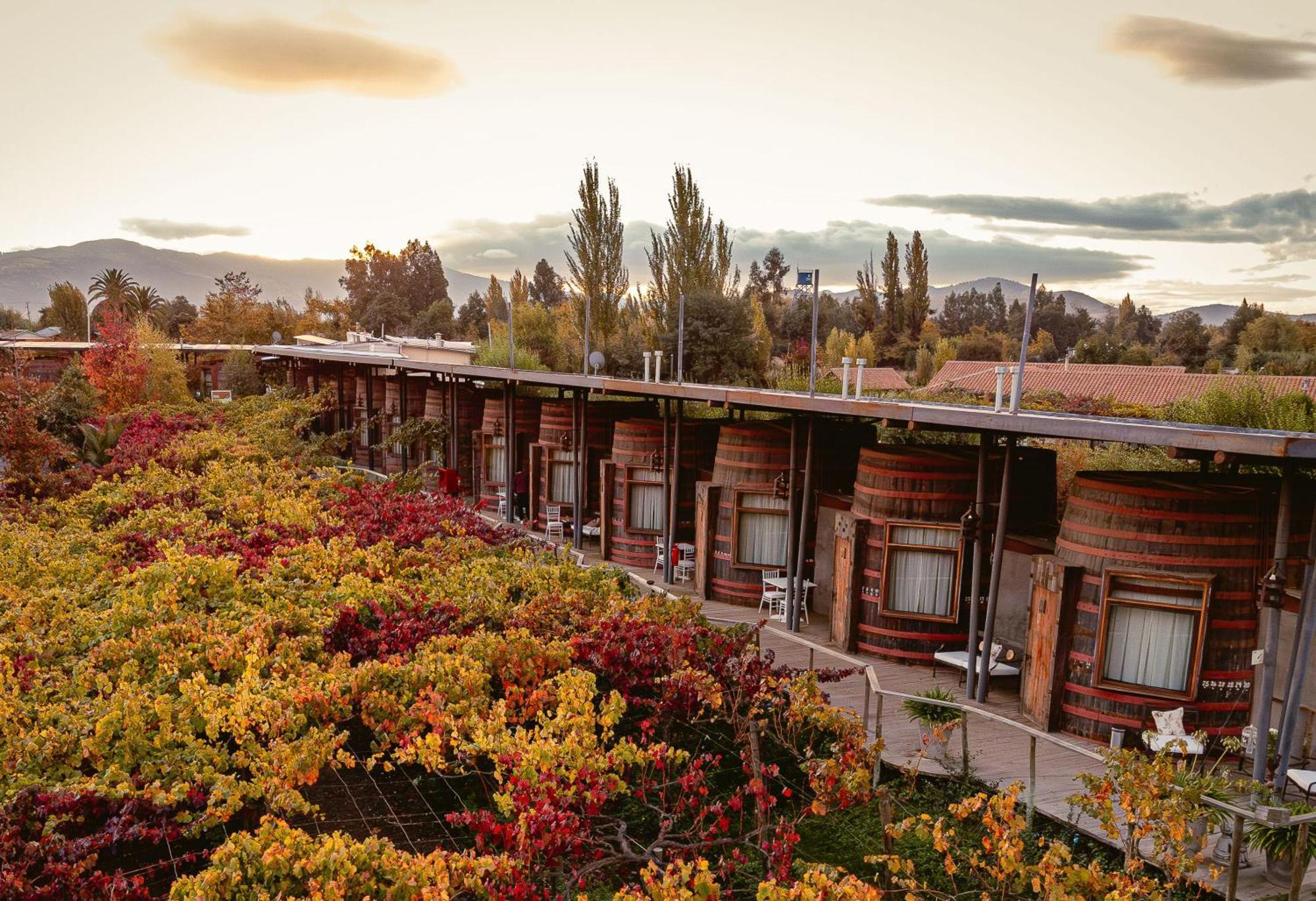 Cava Colchagua Boutique 2* Santa Cruz