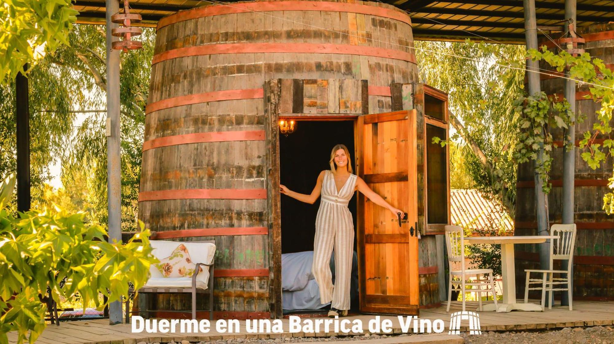 Cava Colchagua Boutique Hotel Santa Cruz