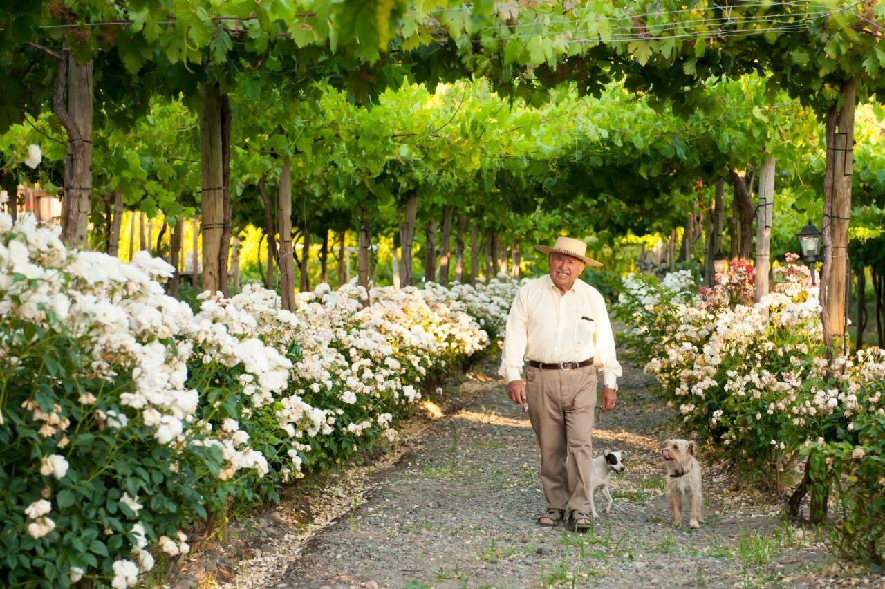 Cava Colchagua Boutique Hotel